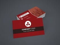 Clean And Simple Business Card Template Screenshot 5